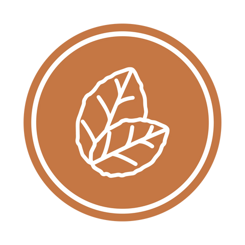 E-liquides tabac blond, corse, brun, noisettes, sucrés 